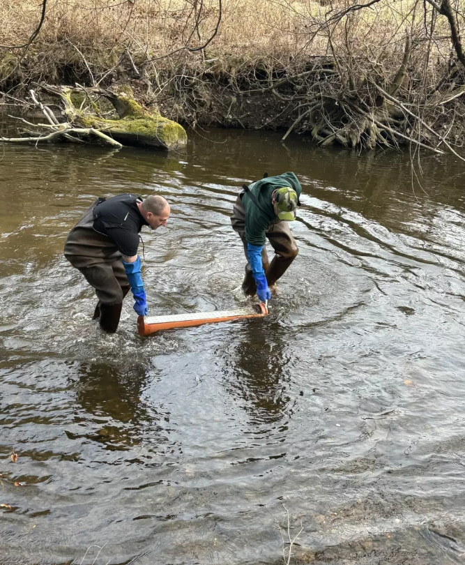 Aushebung der Brutboxen