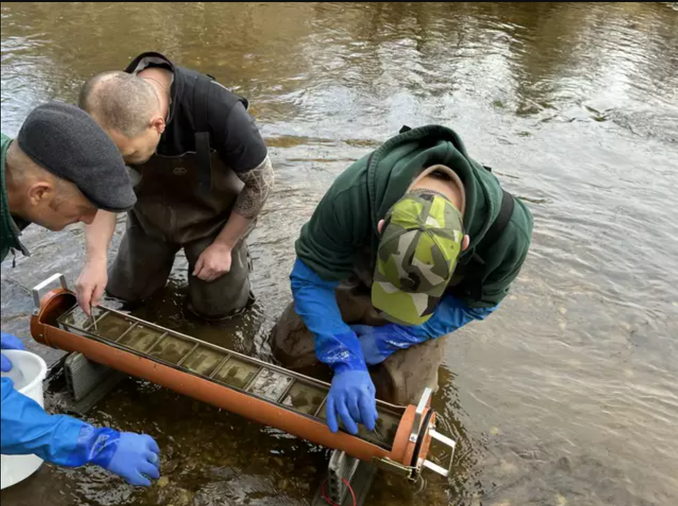 Kontrolle der Fische